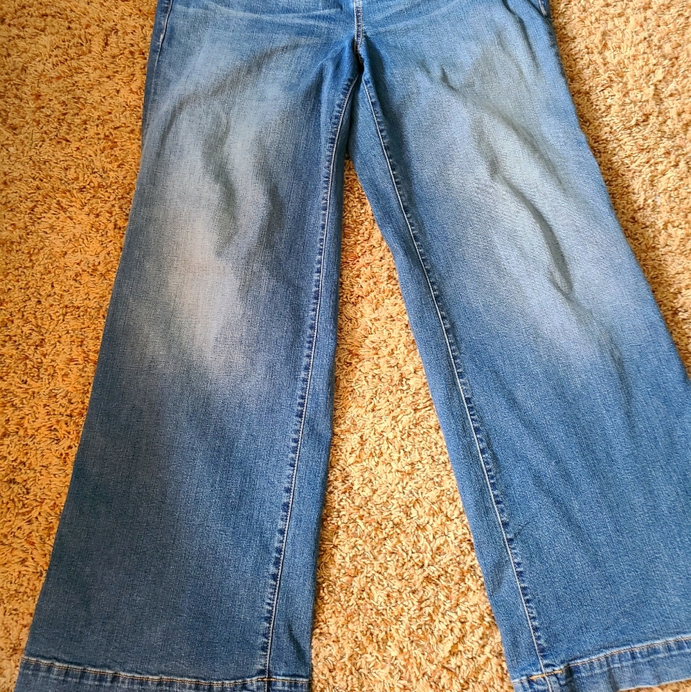 Torrid Wide Leg Jeans